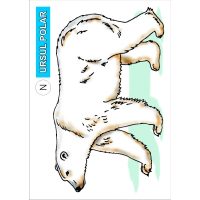 VIEŢUITOARE DE LA POLI