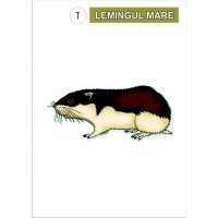 VIEŢUITOARE DE LA POLI