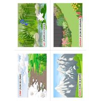 FLORI, DE MULTE CULORI