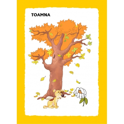 FLORI, DE MULTE CULORI FLORI, DE MULTE CULORI