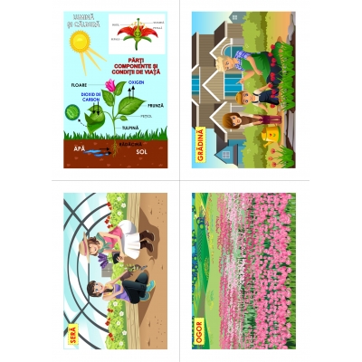 FLORI, DE MULTE CULORI FLORI, DE MULTE CULORI