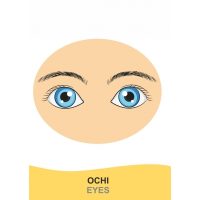 EXPLORĂM CORPUL UMAN!