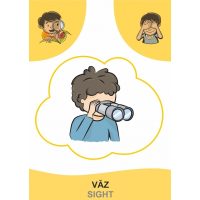 EXPLORĂM CORPUL UMAN!