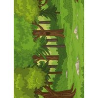 IDENTIFICA ARBORII PADURII!