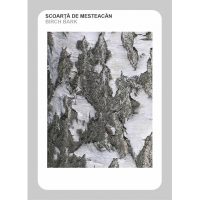 IDENTIFICA ARBORII PADURII!