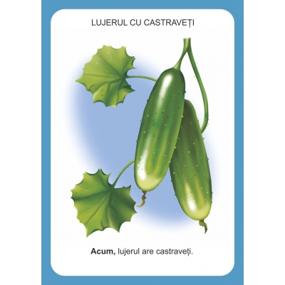 ORDONEAZA CORECT! ORDONEAZA CORECT!