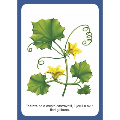 ORDONEAZA CORECT! ORDONEAZA CORECT!