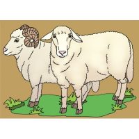 Animale domestice - jetoane