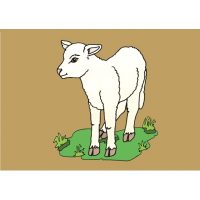 Animale domestice - jetoane