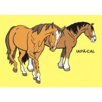 ANIMALE DOMESTICE - jetoane