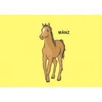 ANIMALE DOMESTICE - jetoane