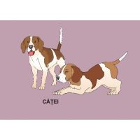 ANIMALE DOMESTICE - jetoane