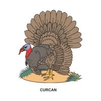 ANIMALE DOMESTICE - jetoane