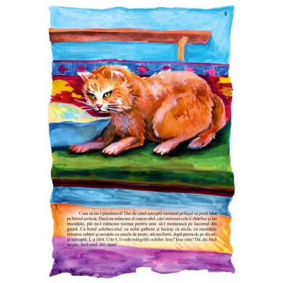 Cand stapanul nu-i acasa! Cand stapanul nu-i acasa!