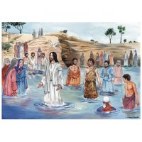 Crearea si mantuirea lumii - planse