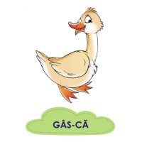 Cuvinte si silabe - jetoane