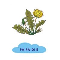 Cuvinte si silabe - jetoane