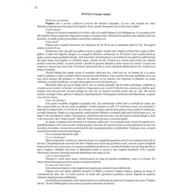 Oaspetii primaverii Oaspetii primaverii