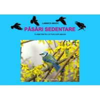 PĂSĂRI SEDENTARE - planşe
