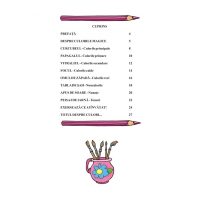 Sa invatam culorile cu Motanel (4-5 ani)