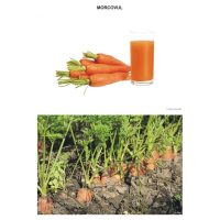 Sa observam legumele