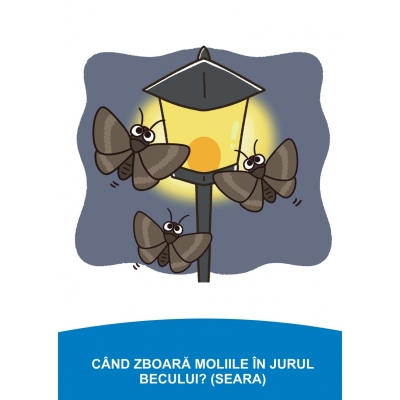 CÂND SE ÎNTÂMPLĂ ZIUA SAU NOAPTEA? CÂND SE ÎNTÂMPLĂ ZIUA SAU NOAPTEA?