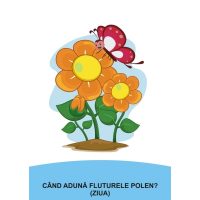 CÂND SE ÎNTÂMPLĂ ZIUA SAU NOAPTEA?