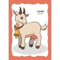 SPUNE, DE UNDE PROVIN ALIMENTELE!