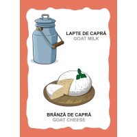 SPUNE, DE UNDE PROVIN ALIMENTELE!