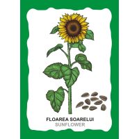 SPUNE, DE UNDE PROVIN ALIMENTELE!