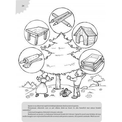 Bradul de Crăciun Bradul de Crăciun