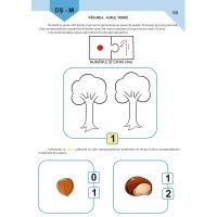 Caietul preșcolarului - grupa mijlocie