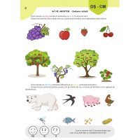 Caietul preșcolarului - grupa mare