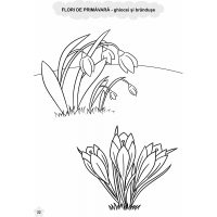 CARTE DE COLORAT PE TEME SĂPTĂMÂNALE - GRUPA MIJLOCIE