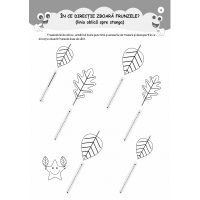 TRASEAZĂ ȘI ȘTERGE! - EXERCIȚII GRAFICE