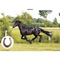 SĂ CUNOAȘTEM ANIMALELE DIN OGRADĂ