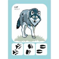 MAMIFERE SALBATICE - DESCOPERA ...