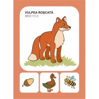 MAMIFERE SALBATICE - DESCOPERA ...