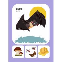 MAMIFERE SALBATICE - DESCOPERA ...