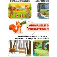 ANIMALELE DIN PĂDURE SE PREGĂTESC DE IERNAT