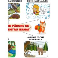 ANIMALELE DIN PĂDURE SE PREGĂTESC DE IERNAT