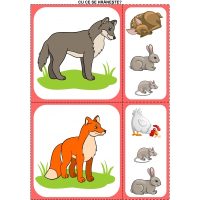 ANIMALELE DIN PĂDURE SE PREGĂTESC DE IERNAT