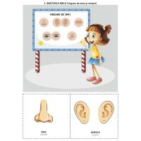 Jocuri didactice pentru cunoașterea mediului