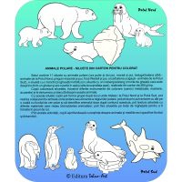 SILUETE DIN CARTON PENTRU COLORAT - PERSONAJE MAGICE